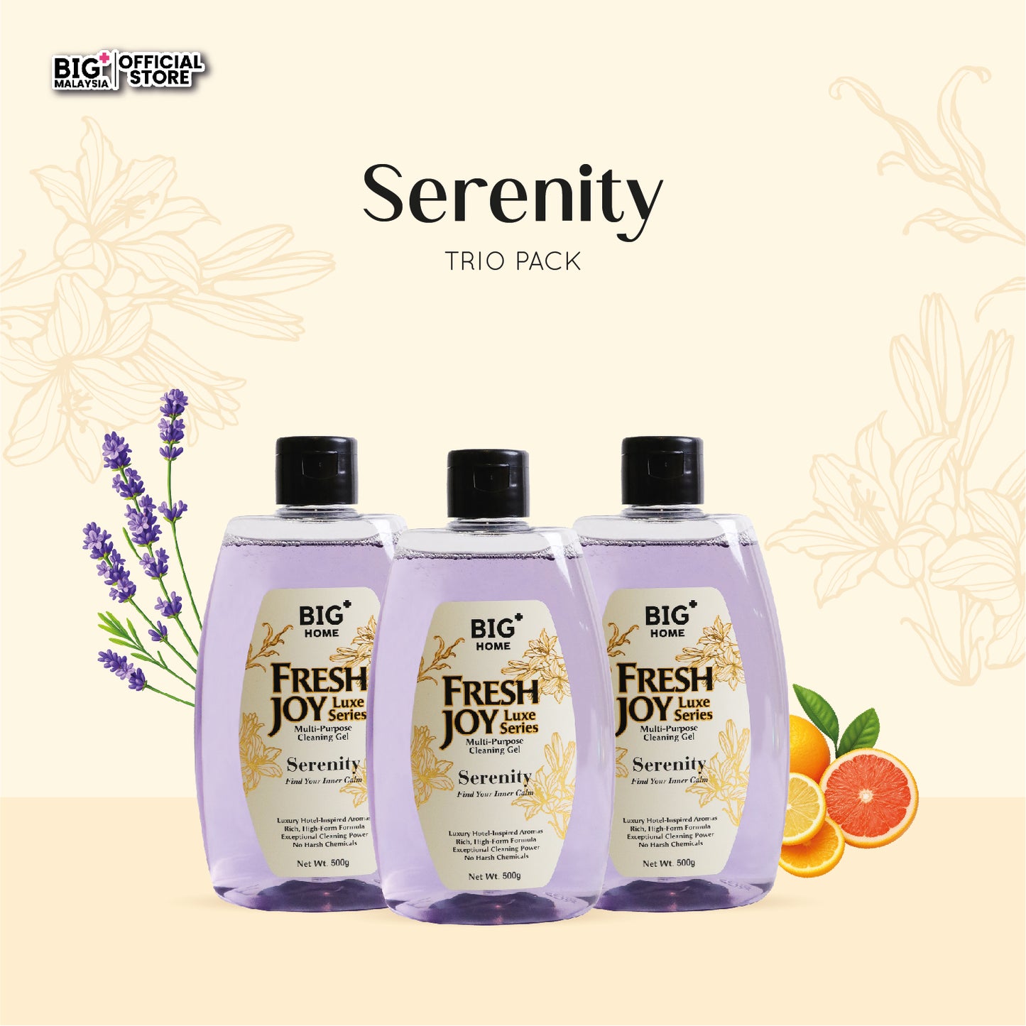 BIG+ FreshJoy Luxe Multi-Purpose Cleaning Gel (Serenity)