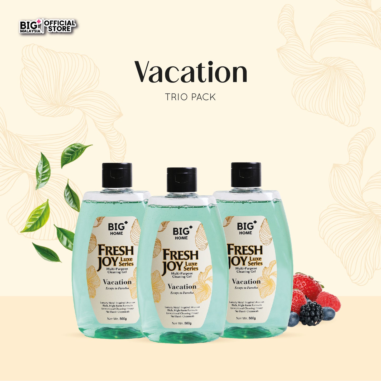 BIG+ FreshJoy Luxe Multi-Purpose Cleaning Gel (Vacation)