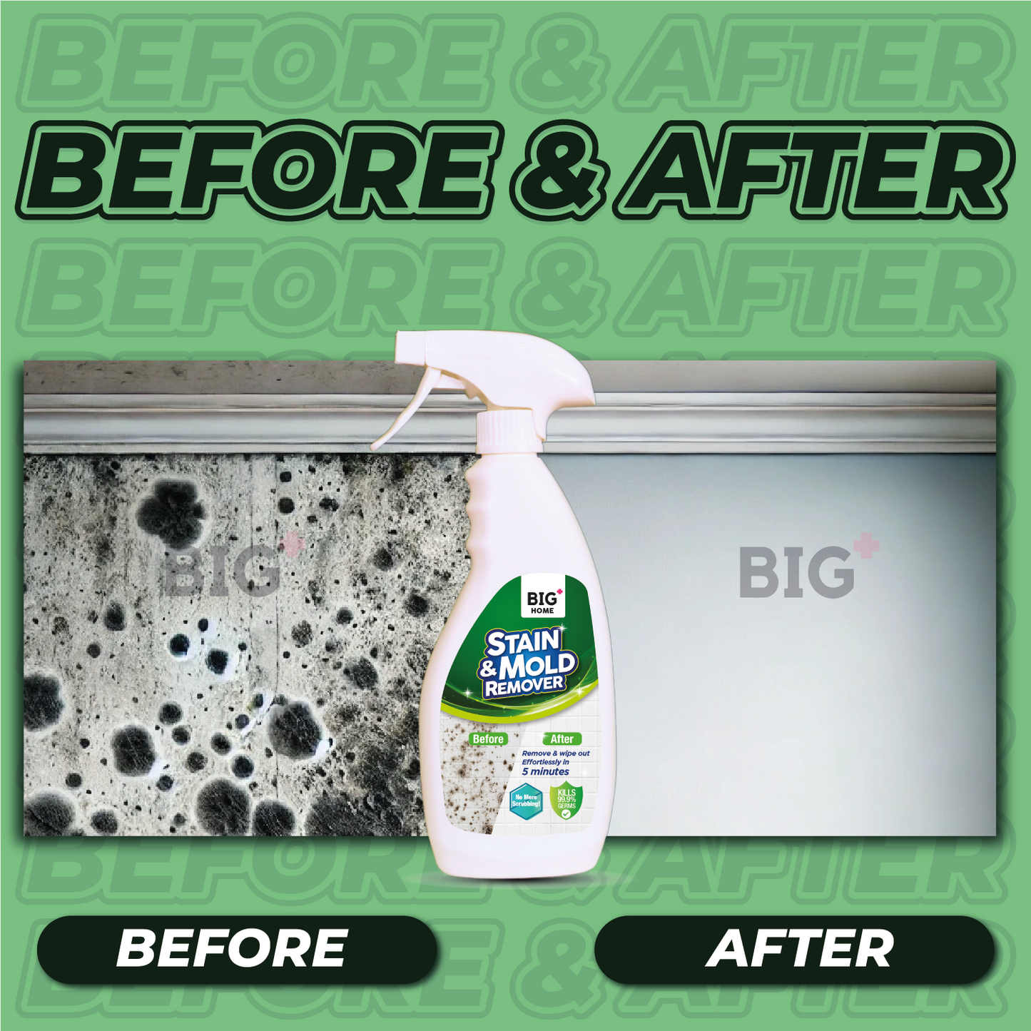 BIG+ Stain & Mold Remover |  2 x 500ml