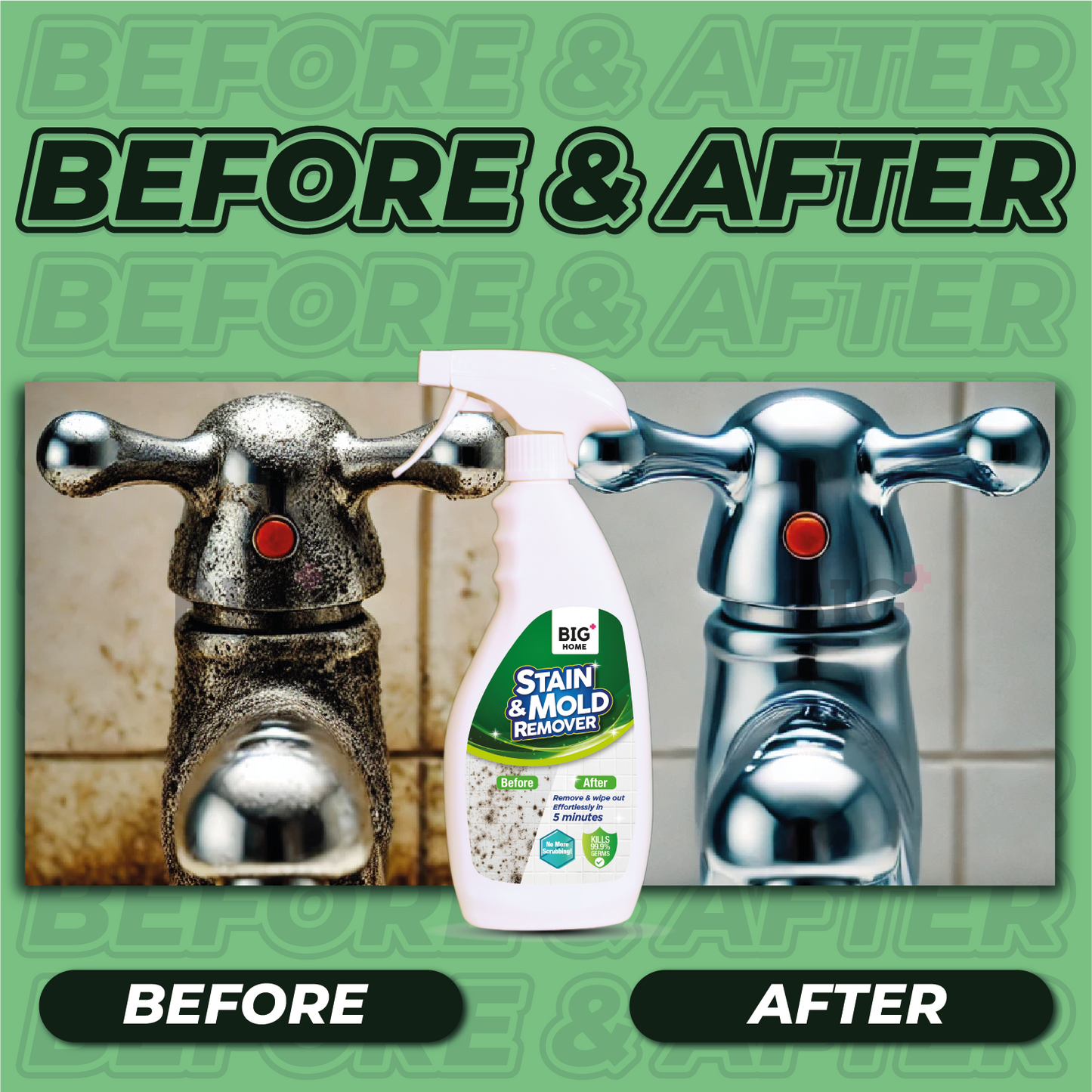 BIG+ Stain & Mold Remover |  2 x 500ml