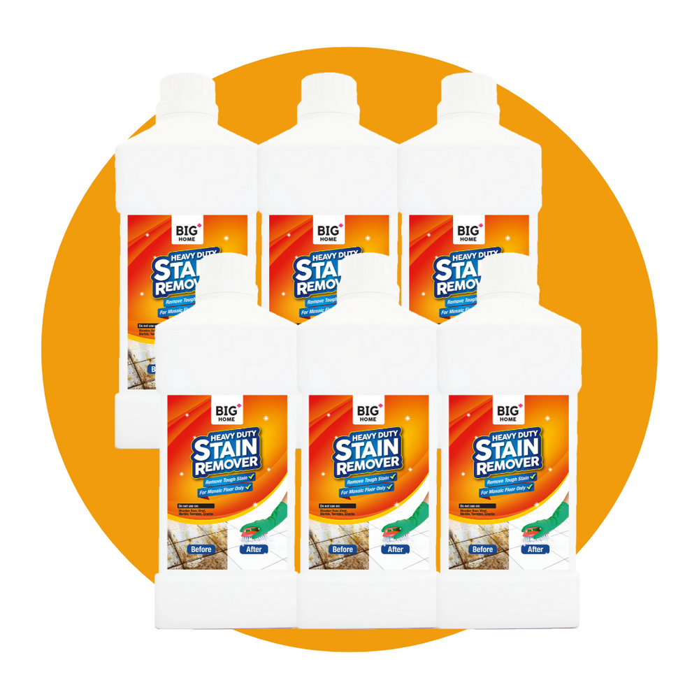 BIG+ Heavy Duty Stain Remover [ Carton Deal | 6 x 1000ml ]