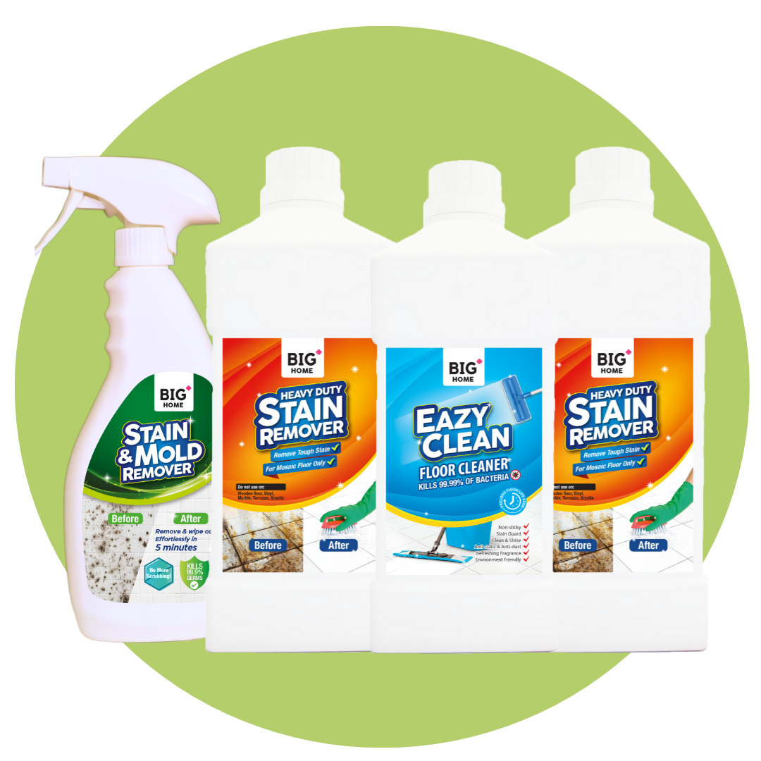 [ Ong Deal | Free Scrubber ] BIG+ Household Spring Cleaning Set Home Cleaning Toilet Floor Cleaner Stain Mold Remover