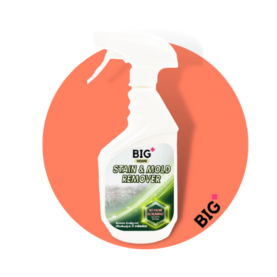 BIG+ Stain & Mold Remover