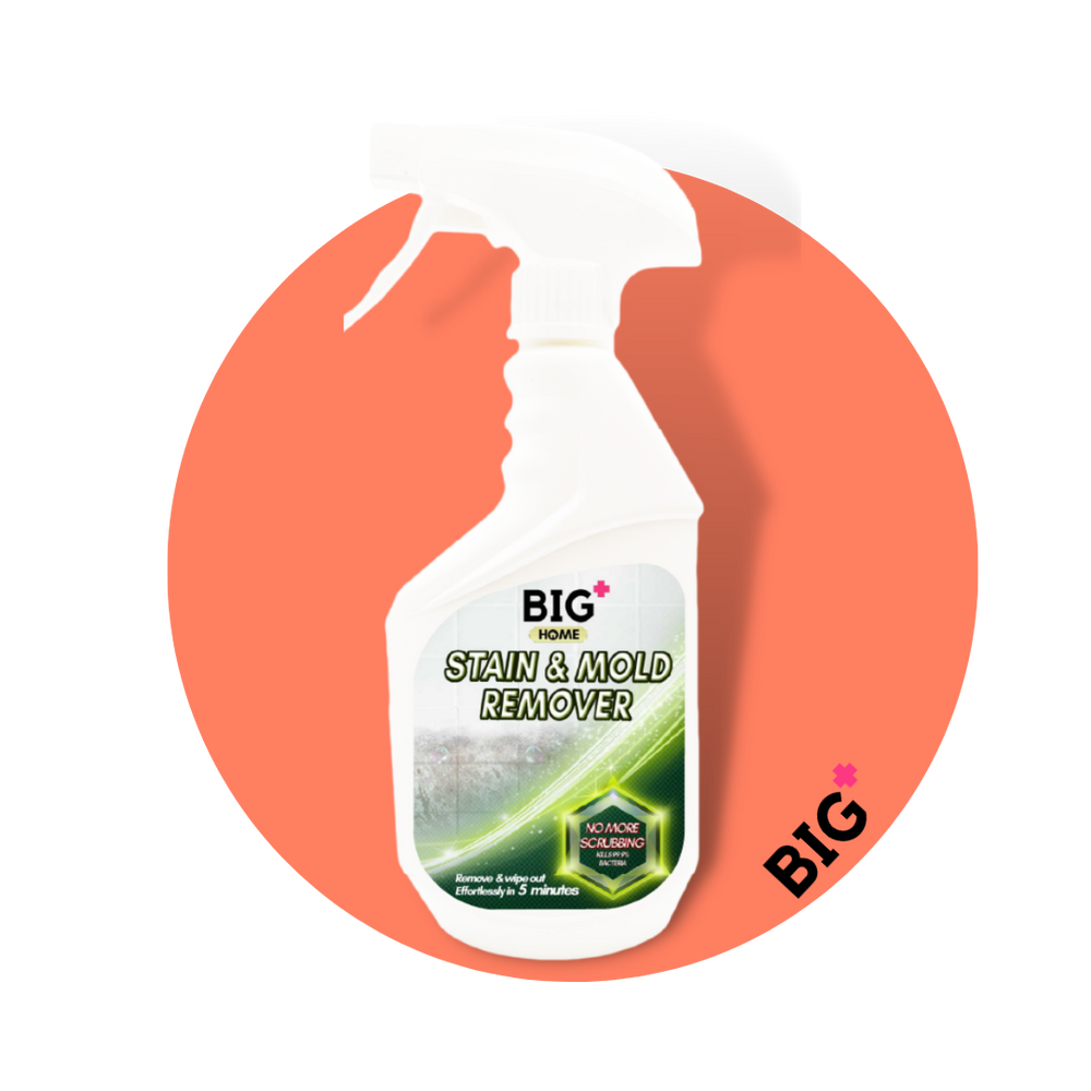 BIG+ Stain & Mold Remover