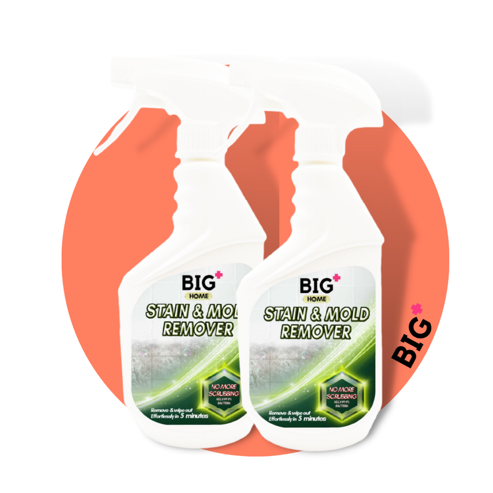 BIG+ Stain & Mold Remover 2 x 500ml